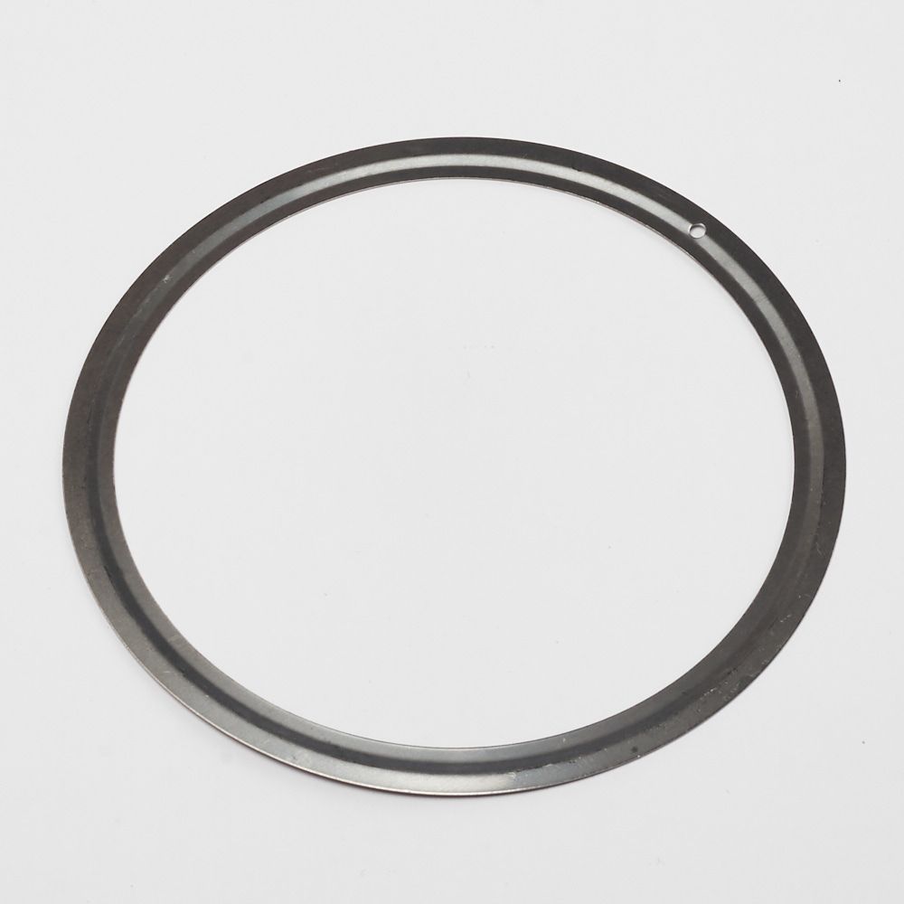 Gasket BV50 VSG-K002